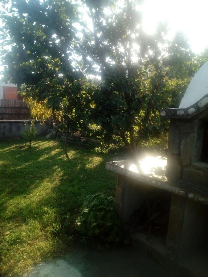 Къща За Гости Ягода Sapareva Banya Dış mekan fotoğraf
