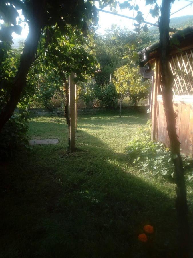 Къща За Гости Ягода Sapareva Banya Dış mekan fotoğraf