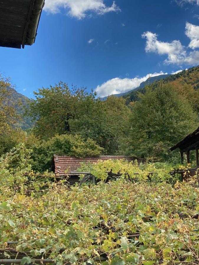 Къща За Гости Ягода Sapareva Banya Dış mekan fotoğraf