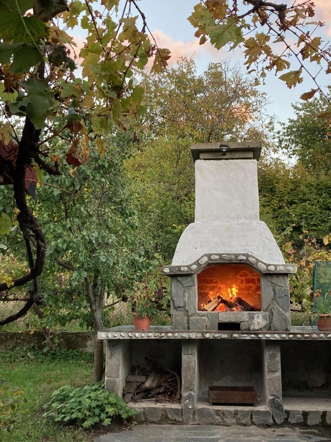 Къща За Гости Ягода Sapareva Banya Dış mekan fotoğraf